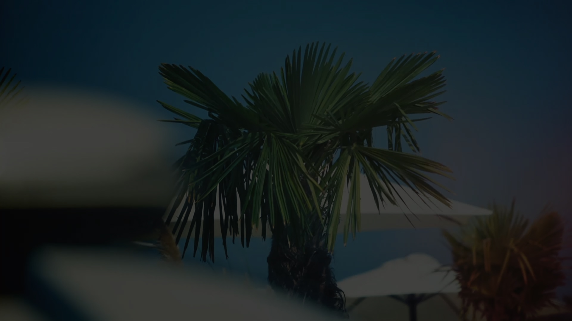 Alapjárat - Mercedes E400 Lupa Beach